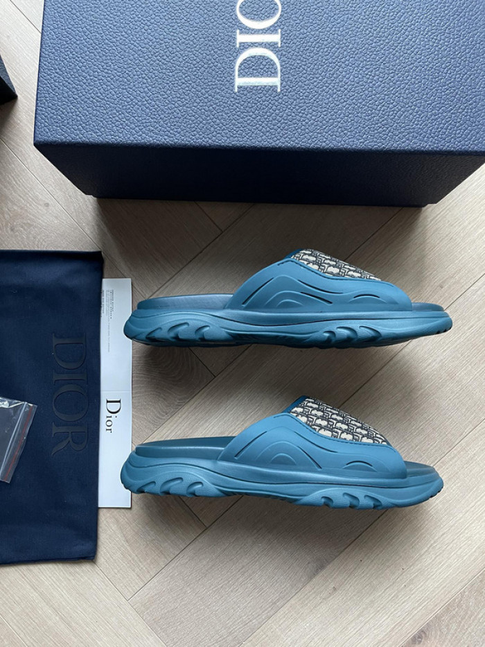 D1R* SLIDE copshoe DR-SLIDE 007