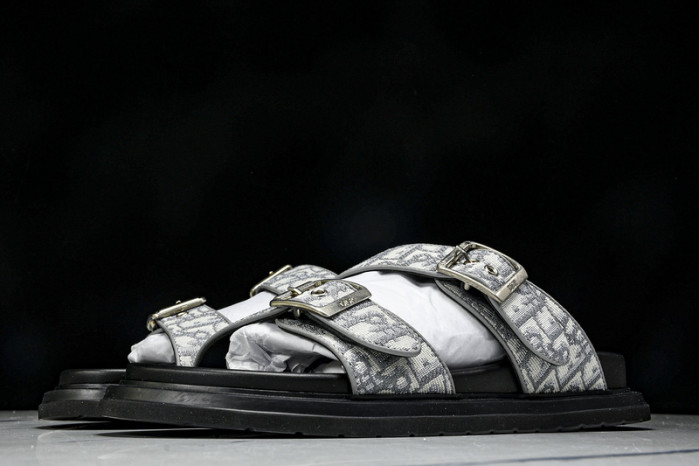 D1R* SLIDE copshoe DR-SLIDE 014