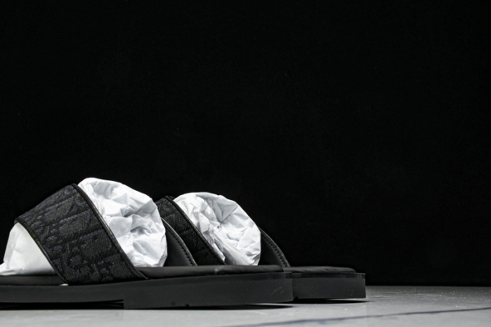 D1R* SLIDE copshoe DR-SLIDE 017