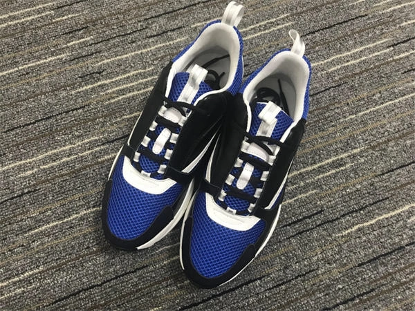 RelaxedFit Dior B 1292