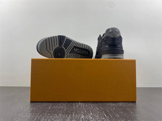 DailyWear Louis Vuitton LV trainer 2138